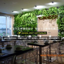 杭州植物墻與綠墻設(shè)計(jì)施工全解析 從專業(yè)設(shè)計(jì)到價(jià)格咨詢